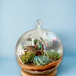 buy hanging globe terrarium online from gifting.wildroots.in