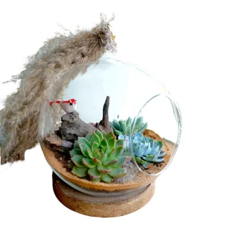 buy hanging globe terrarium online from gifting.wildroots.in