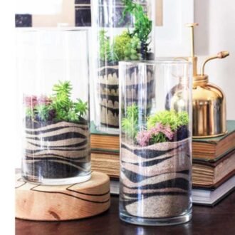 Cylinder Terrariums (6"x18")