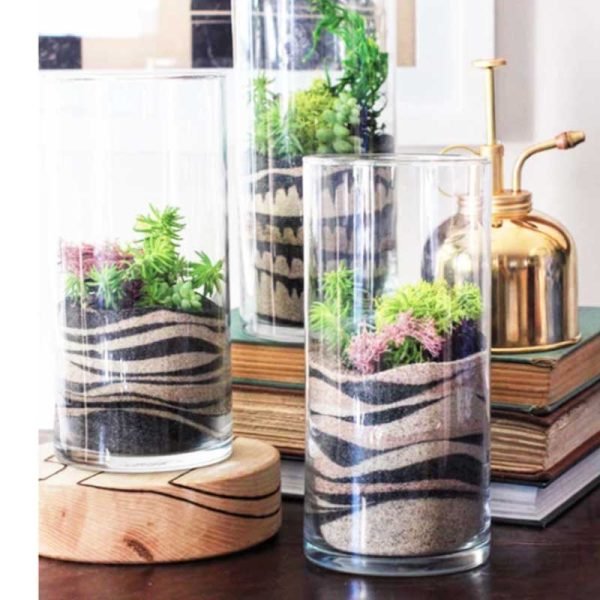 Cylinder Terrariums (6"x18")