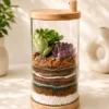 10-inch cylindrical glass terrarium with succulents and layered decorative soil by World Roots Gifting for indoor décor and gifting in India.