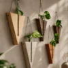 Premium V-shaped wooden wall hanging planter with glass test tube and pothos plant, minimalist indoor hydroponic planter for home décor, office decoration, and plant propagation.