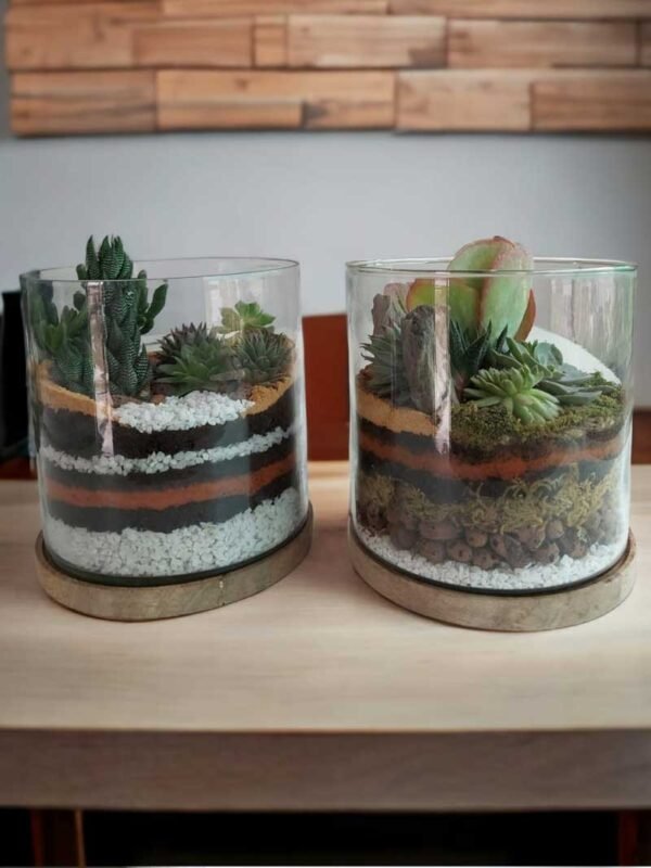 Desktop Cylindrical Terrarium (6x6) Inches