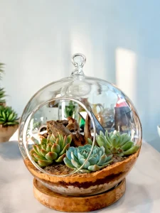 Hanging Globe Terrarium 8 inch as premium corporate welcome kit gift