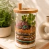 10-inch cylindrical glass terrarium with succulents and layered decorative soil by World Roots Gifting for indoor décor and gifting in India.