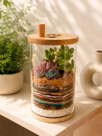 10-inch cylindrical glass terrarium with succulents and layered decorative soil by World Roots Gifting for indoor décor and gifting in India.