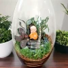 11 Inch Long Oval Glass Terrarium