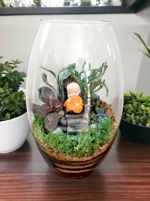 11 Inch Long Oval Glass Terrarium