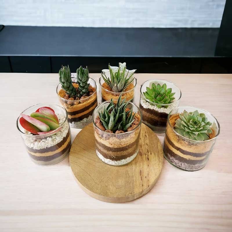 3"X 3" Cylindrical glass Terrarium ( Set of 2)