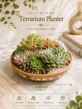 Premium handcrafted wooden bowl planter with succulent terrarium arrangement and decorative stones for indoor home décor, office desk styling, and gifting by Wild Roots.