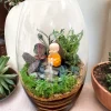 11 Inch Long Oval Glass Terrarium