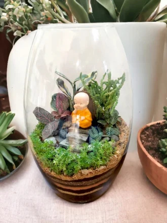 11 Inch Long Oval Glass Terrarium