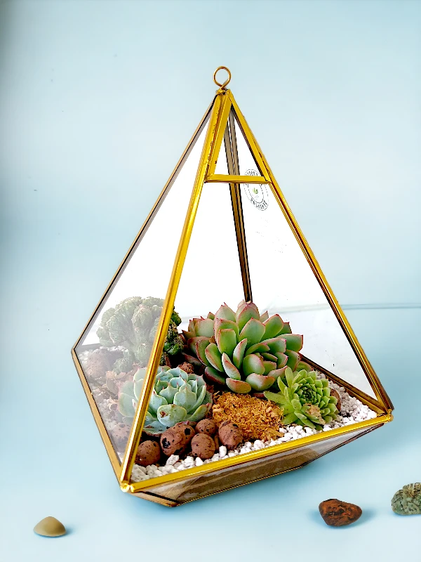 Pyramid shaped triangular terrarium by wild roots