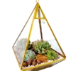 Pyramid shaped Glass Terrarium- Desktop and Hanging Terrarium