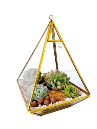 Pyramid shaped Glass Terrarium- Desktop and Hanging Terrarium