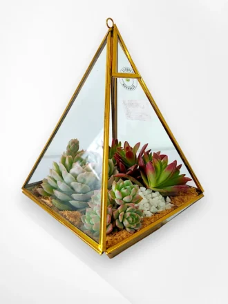 Pyramid shaped Glass Terrarium- Desktop and Hanging Terrarium