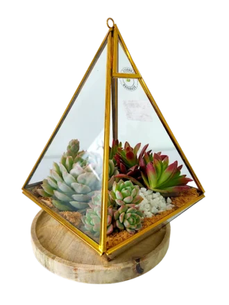 Pyramid shaped Glass Terrarium- Desktop and Hanging Terrarium