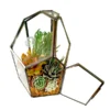 Pentagon Glass Terrarium for Gifting