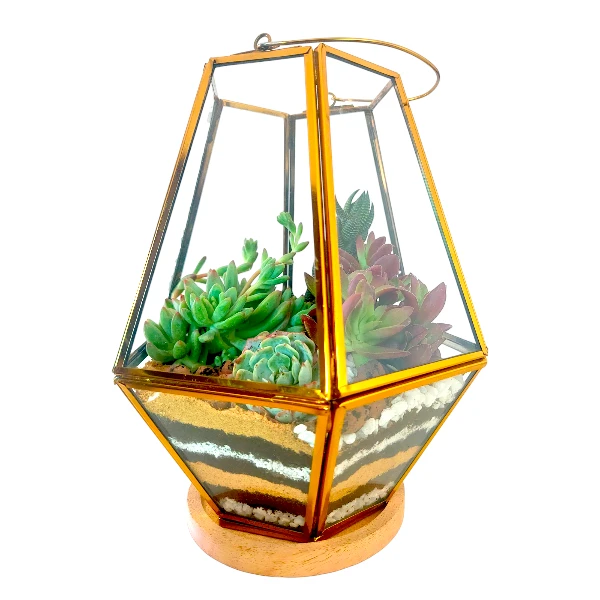 Geometrical Glass Terrarium : Lantern Shape