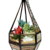 Hanging Designer Glass Terrarium by Wild Roots