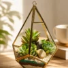 Premium prism geometric glass terrarium with succulents, designed as a hanging and tabletop glass planter for modern home décor, office styling, and gifting. SEO Keywords / Search Phrases