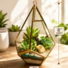 Premium prism geometric glass terrarium with succulents, designed as a hanging and tabletop glass planter for modern home décor, office styling, and gifting. SEO Keywords / Search Phrases