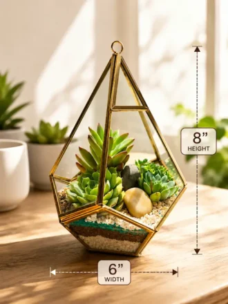 Premium prism geometric glass terrarium with succulents, designed as a hanging and tabletop glass planter for modern home décor, office styling, and gifting. SEO Keywords / Search Phrases
