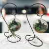 Hanging Glass Terrarrium with metal Stand