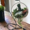 Hanging Glass Terrarrium with metal Stand