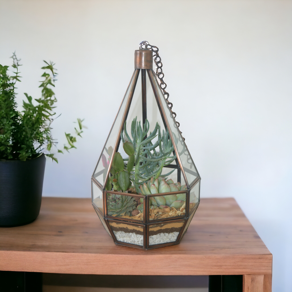 Hanging chandelier glass terrarium with live plants by Wild Roots Gifting – elegant indoor hanging planter for Delhi NCR and Dehradun homes and offices