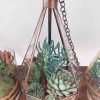 Hanging chandelier glass terrarium with live plants by Wild Roots Gifting – elegant indoor hanging planter for Delhi NCR and Dehradun homes and offices