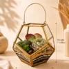 Geometric garden lantern terrarium with succulent plants by Wild Roots Gifting for modern home décor and gifting delivery across India via gifting.wildroots.in.