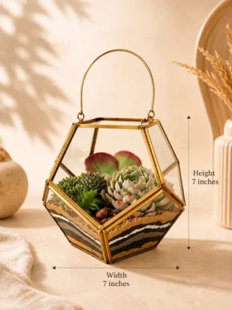 Geometric garden lantern terrarium with succulent plants by Wild Roots Gifting for modern home décor and gifting delivery across India via gifting.wildroots.in.