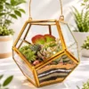 Geometric garden lantern terrarium with succulent plants by Wild Roots Gifting for modern home décor and gifting delivery across India via gifting.wildroots.in.