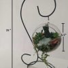 Hanging Glass Terrarrium with metal Stand