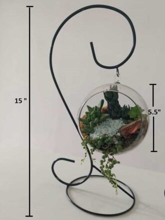 Hanging Glass Terrarrium with metal Stand