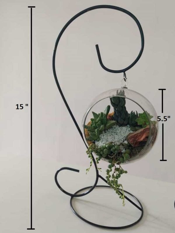 Hanging Glass Terrarrium with metal Stand