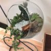 Hanging glass terrarium with metal stand and live plants by Wild Roots Gifting – modern indoor hanging planter for Delhi NCR and Dehradun homes and offices