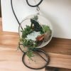 Hanging Glass Terrarrium with metal Stand