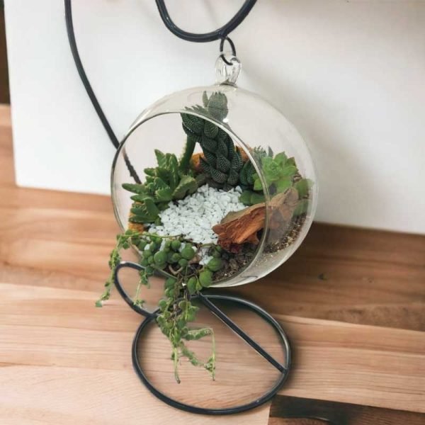Hanging Glass Terrarrium with metal Stand