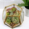Garden lantern glass terrarium with live plants by Wild Roots Gifting – decorative indoor planter for Delhi NCR and Dehradun homes and offices