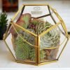 Garden Lantern Glass Terrarium