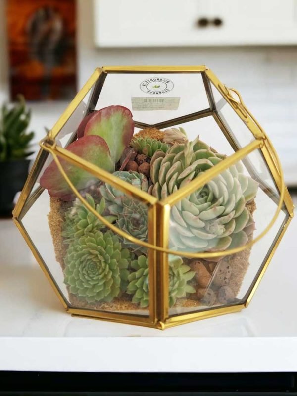Garden Lantern Glass Terrarium