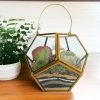 Garden lantern glass terrarium with live plants by Wild Roots Gifting – decorative indoor planter for Delhi NCR and Dehradun homes and offices