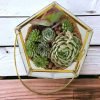 Garden Lantern Glass Terrarium