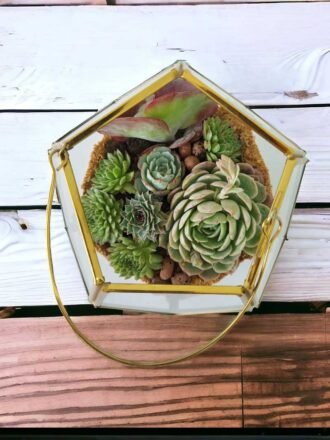 Garden Lantern Glass Terrarium
