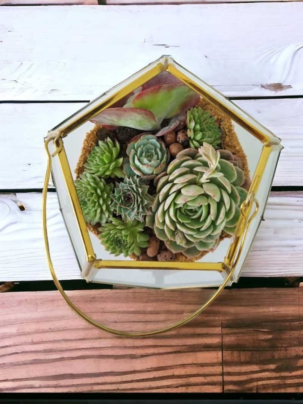 Garden Lantern Glass Terrarium