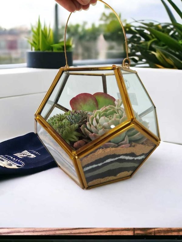 Garden lantern glass terrarium with live plants by Wild Roots Gifting – decorative indoor planter for Delhi NCR and Dehradun homes and offices