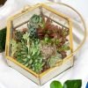 Lantern Glass Terrarium (Large)