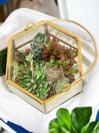 Lantern Glass Terrarium (Large)